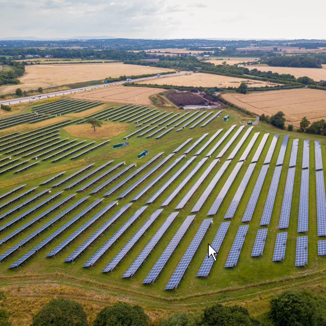 The East of England swap Seeds for Solar!